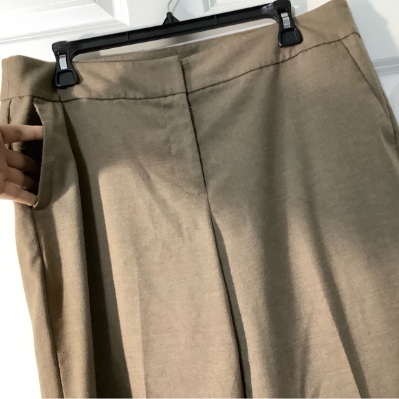 Ann Taylor Beige Trousers, casual, office, size 8. - Picture 5 of 15